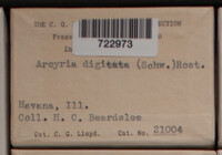 Image Associated With the Occurence
